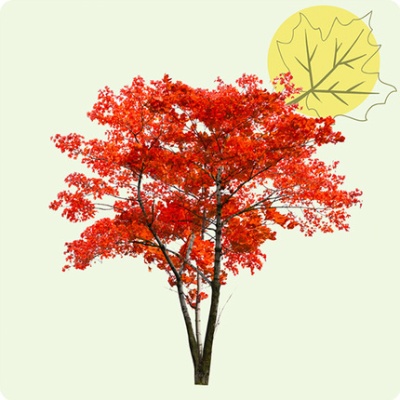 DÉCOUVRIR DÉCOUVRIR