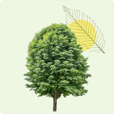 DÉCOUVRIR DÉCOUVRIR