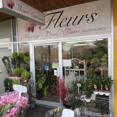 Placeholder 4 Placeholder 4